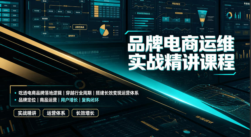 品牌电商运维实战精讲课程|吃透电商品牌落地逻辑、穿越行业周期、搭建长效变现运营体系-智云网