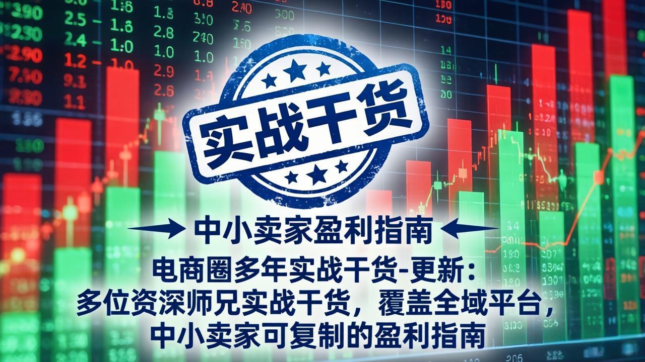 电商圈多年实战干货-更新4月:多位资深师兄实战干货,覆盖全域平台,中小卖家可复制的盈利指南-智云网