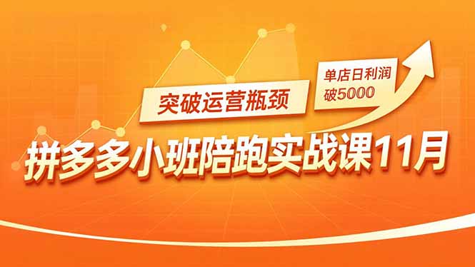 拼多多小班陪跑实战课11月，强付费矩阵、原价活动、暗券引流，突破运营瓶颈，单店日利润破5000-智云网