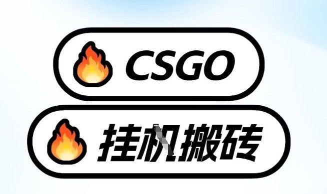 真全网独家CSGO挂G,最新玩法,单日捡漏1K+,不用电脑,不用打游戏【揭秘】-智云网