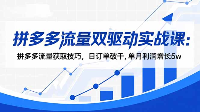 拼多多流量双驱动实战课：拼多多流量获取技巧，日订单破千,单月利润增长5w-智云网