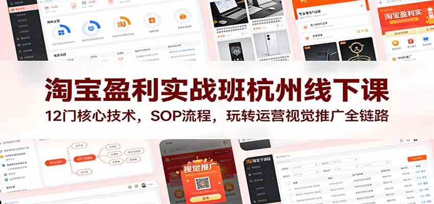 淘宝盈利实战班杭州线下课：12门核心技术，SOP 流程，玩转运营视觉推广全链路-智云网