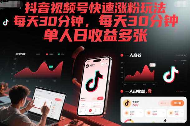 抖音视频号快速涨粉玩法，每天30分钟，单人日收益多张-智云网